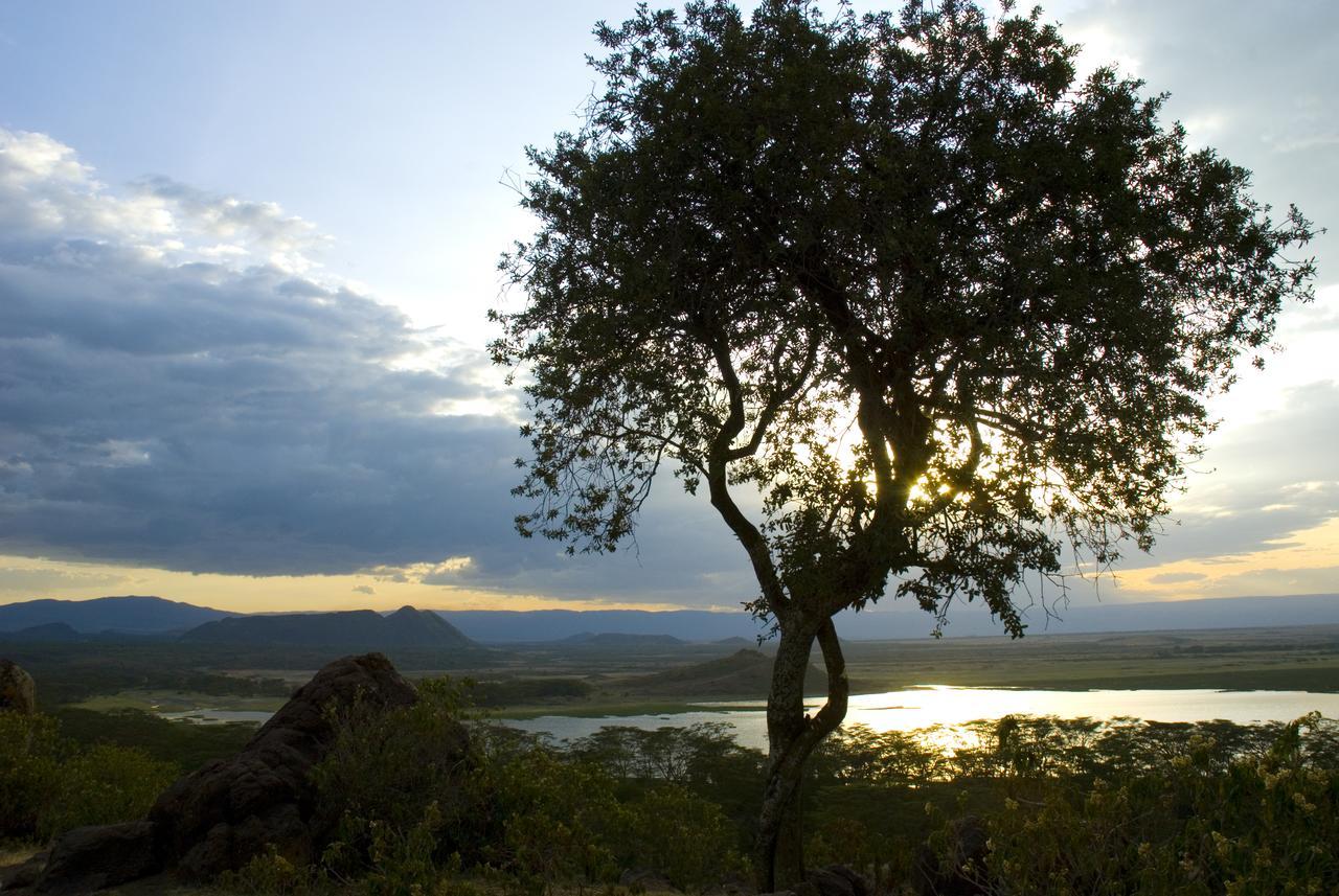 Jacaranda Lake Elementeita Lodge Gilgil Exterior foto